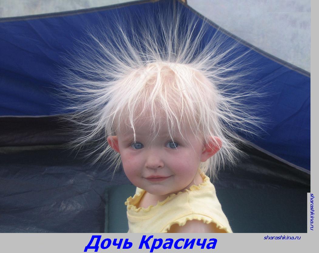 Шарашкина Контора 