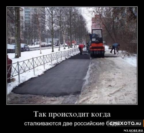 Смешные картинки ни о чем 