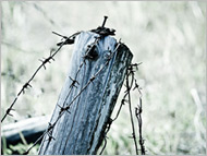 "S.T.A.L.K.E.R.: Real Player 6". Фотоотчет "S.T.A.L.K.E.R.: Real Player 6". Фотоотчет