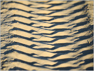 "S.T.A.L.K.E.R.: Real Player 6". Фотоотчет "S.T.A.L.K.E.R.: Real Player 6". Фотоотчет