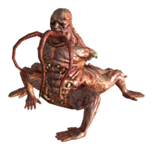 Существа Fallout 3