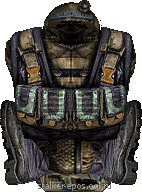 В какой амуниции вы ходете В какой амуниции вы ходете