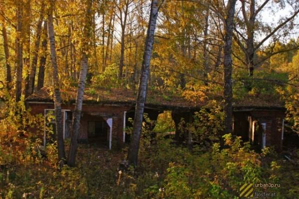 Заброшенная часть полигона (Кемеровская область) Заброшенная часть полигона (Кемеровская область)