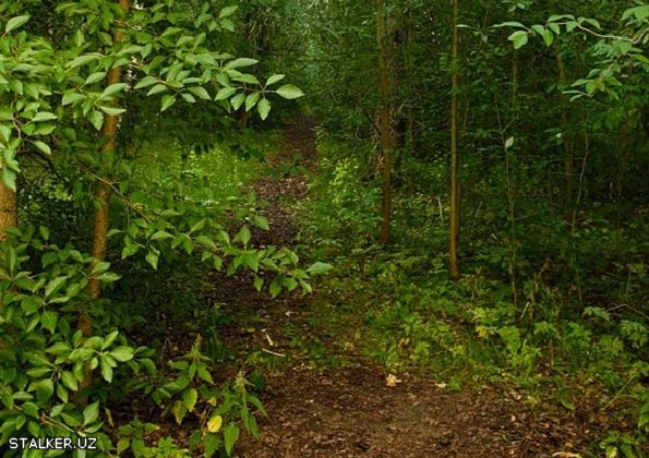 Заброшенная военная часть в Ярославской области