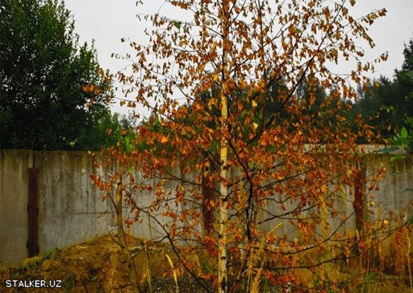 Заброшенная военная часть в Ярославской области