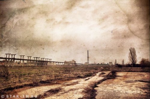 Зона - дом и родина мутантов Зона - дом и родина мутантов