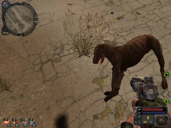 Мой день в Зоне: Зачистка