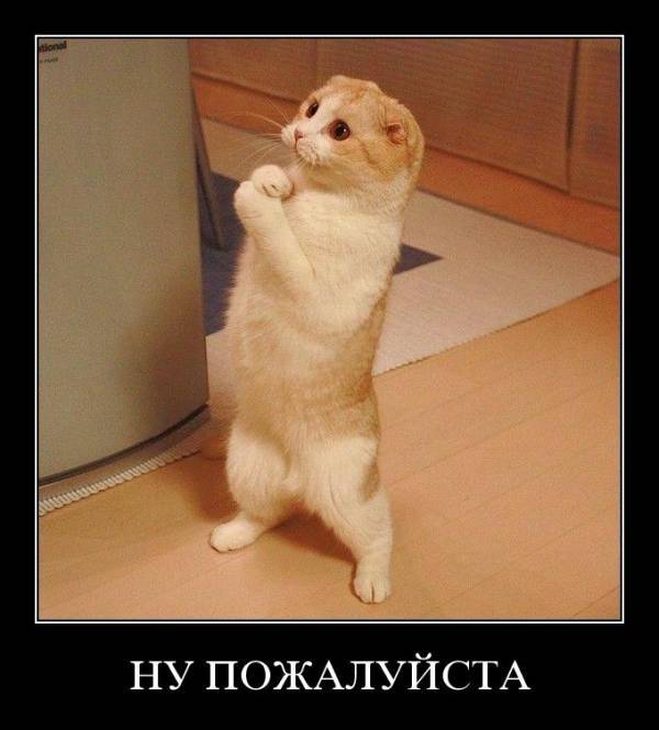 Помогите Друзья(говорю с уважением Помогите Друзья(говорю с уважением