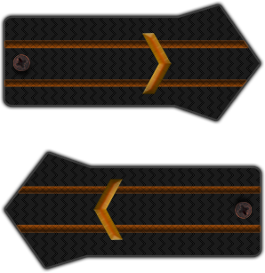 Летописный отдел: кадры и история Ордена Летописный отдел: кадры и история Ордена