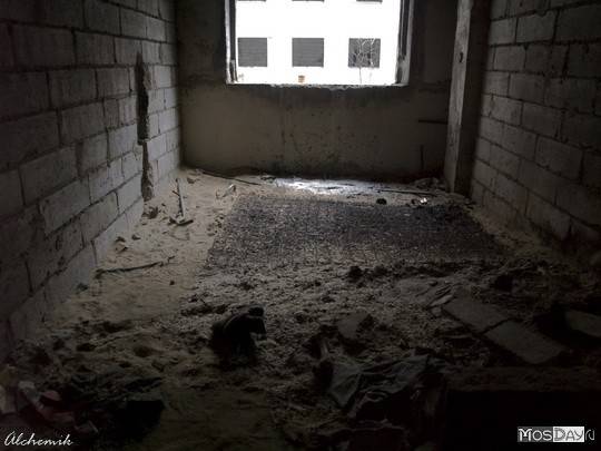 "Амбрелла" "Амбрелла"