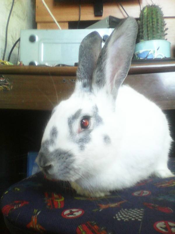 Теперь моя очередь 
Spoiler: