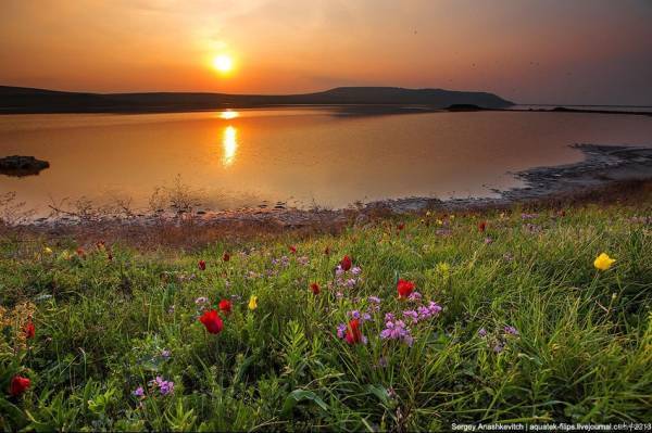 Spoiler: Highlight to view
Spoiler: Highlight to view