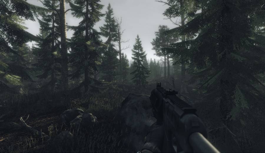 Пост апокалипсис 2028 года