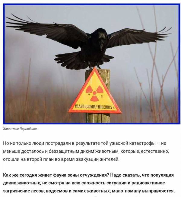 Понравилось. Особенно Понравилось. Особенно