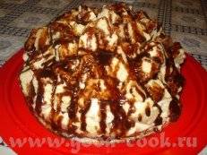 Барон полез в рюкзак
-Вот Барон полез в рюкзак
-Вот