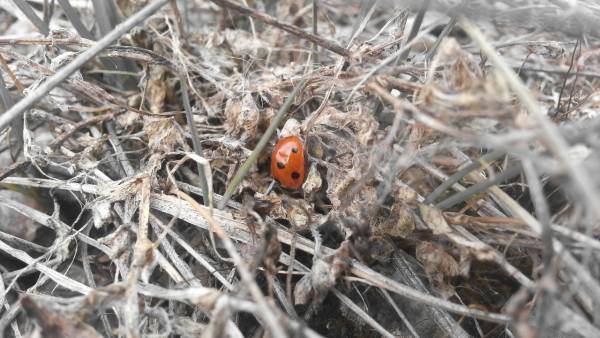 Фото Конкурс