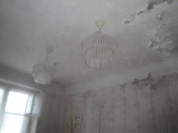 Вылазка в Новоалександровку