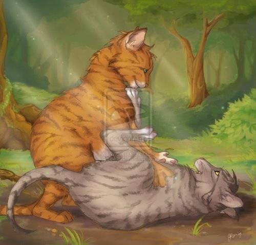 Коты-Воители Коты-Воители