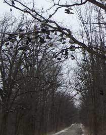 Городские легенды.(выпуск 1,2,3,4) Обновленно 30.09.2015