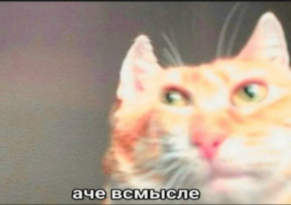 Если честно, не разделяю