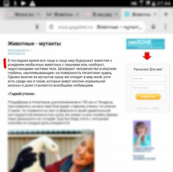 Понравилось. Особенно Понравилось. Особенно