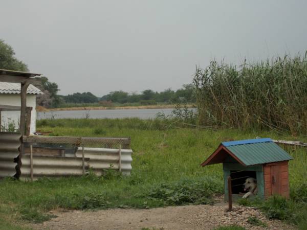 Первый год на сталкер уз,