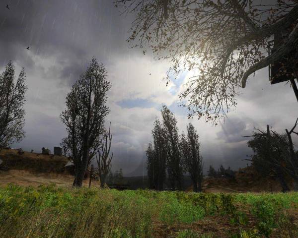 Библиотека Вольных Сталкеров.