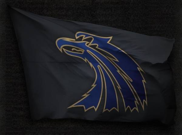 Боевая тактическая группа "Юго-Запад" (Набор открыт)