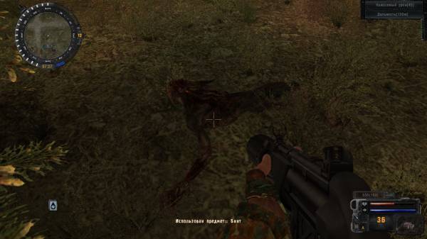 Мой день в Зоне. Рассказ сталкера zZz-95z.