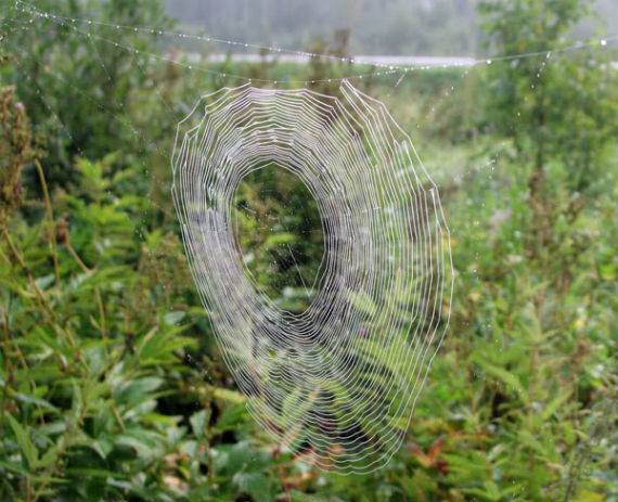 Сертякинская аномальная зона.