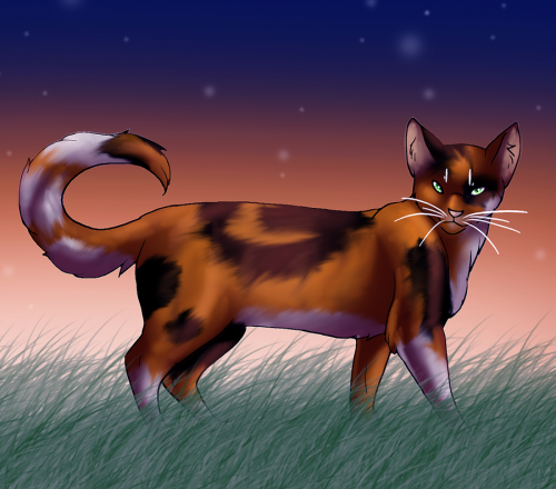 Коты-Воители Коты-Воители