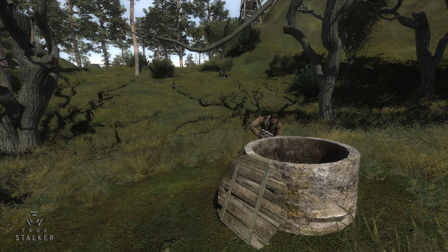 Разработчики True Stalker Разработчики True Stalker