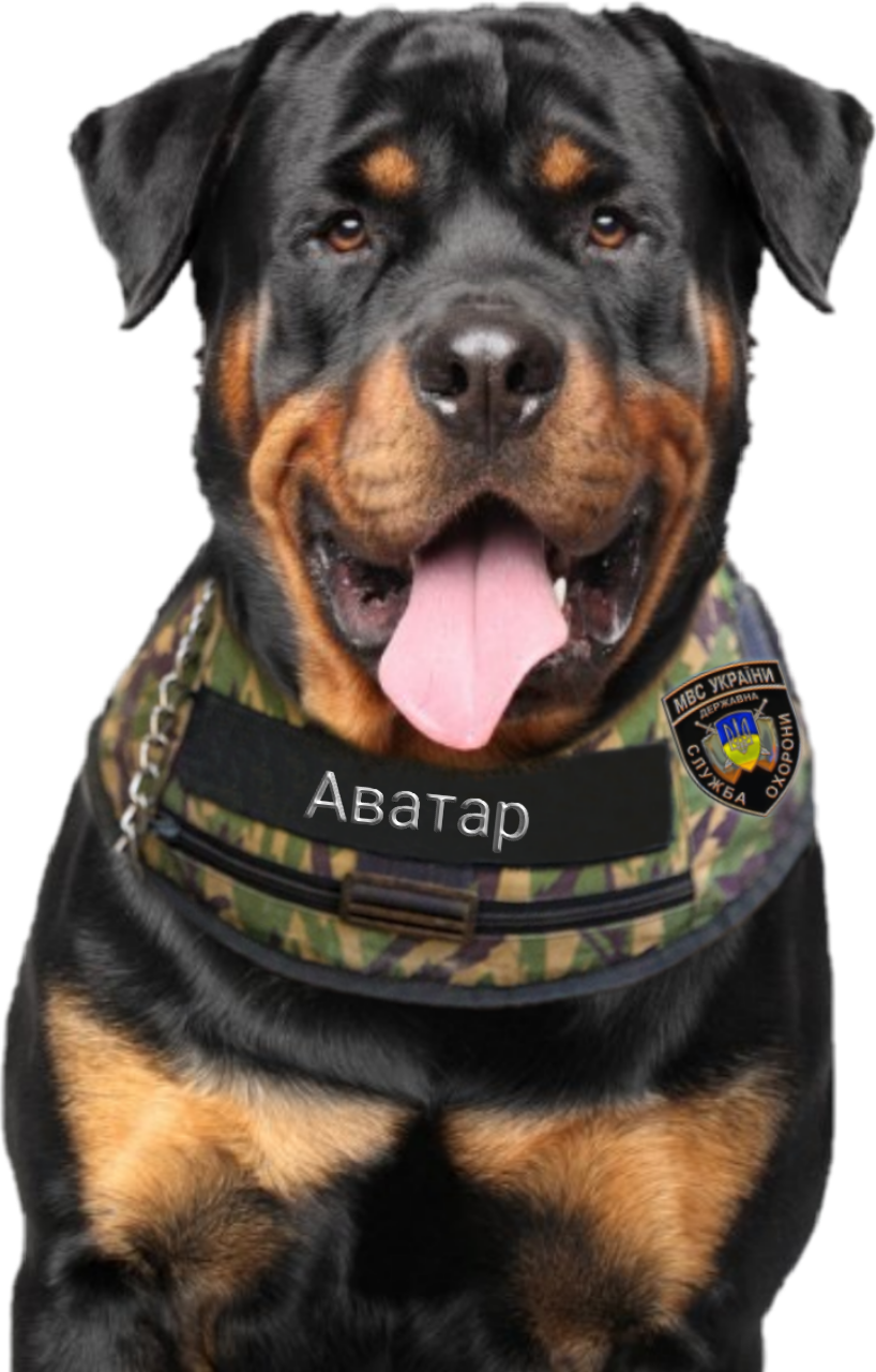 Товарищ Капитошка, задача Товарищ Капитошка, задача