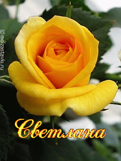 С днём рождения, Хранитель_ С днём рождения, Хранитель_