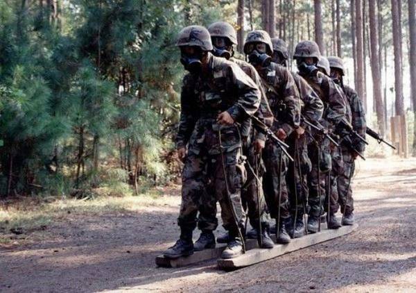 Отряд ежей «АИР ДАН»