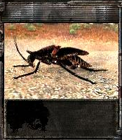 good man, тогда сразу good man, тогда сразу