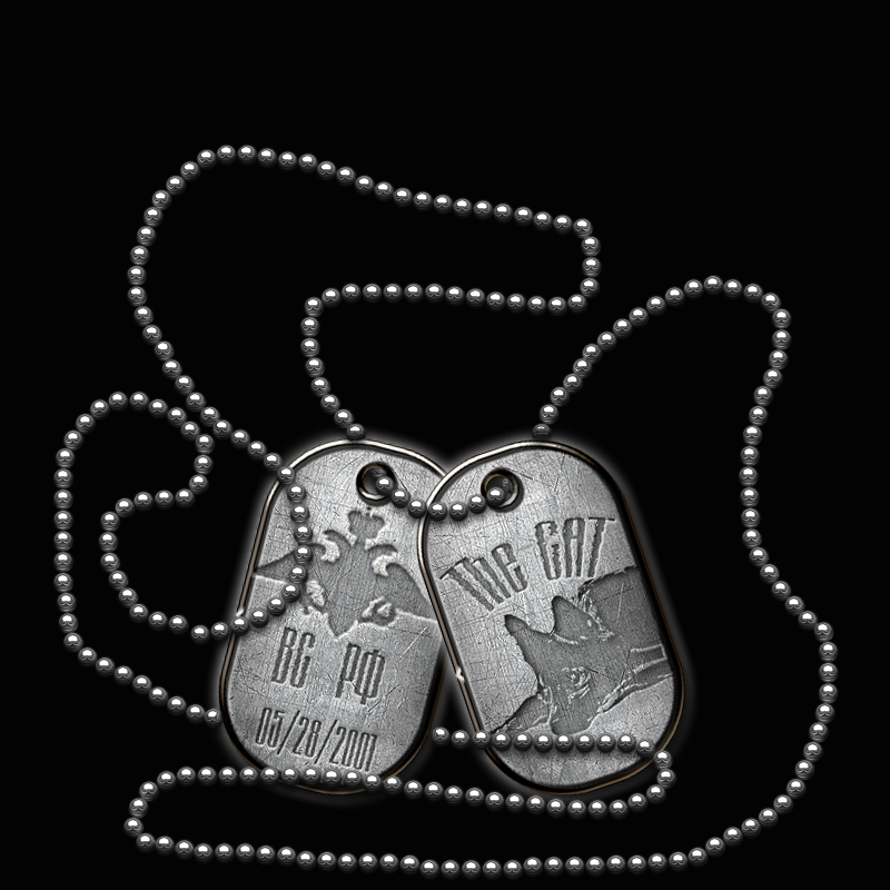 the CaT, Spoiler: Highlight the CaT, Spoiler: Highlight