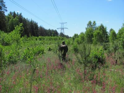 Интервью со сталкером.
