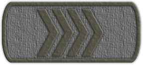 Приказ №19 от 09.06.2021