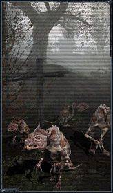 Дом охотника 