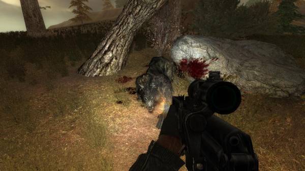 Работы пяти этапов конкурса "Скриншот весны". 