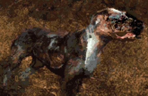 Командиру Ворона, Квада