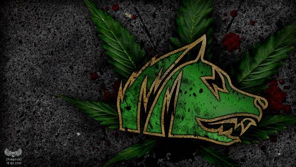 Внимание, свободовец! Внимание, свободовец!