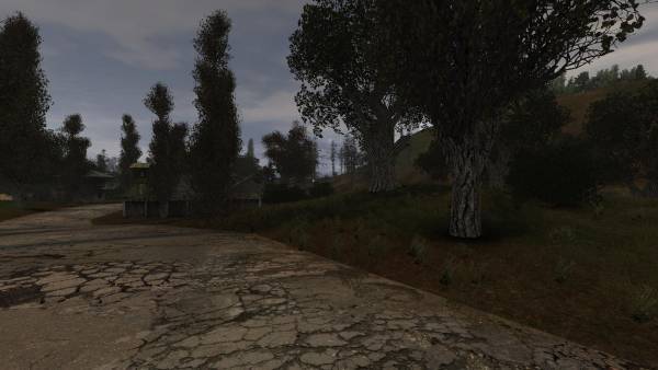 Первый день в зоне