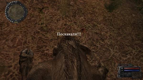 Мой день в Зоне. Рассказ сталкера zZz-95z.