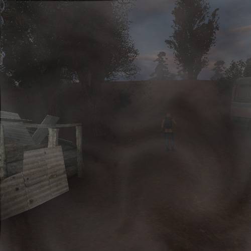 Мой день в Зоне. Мой день в Зоне.