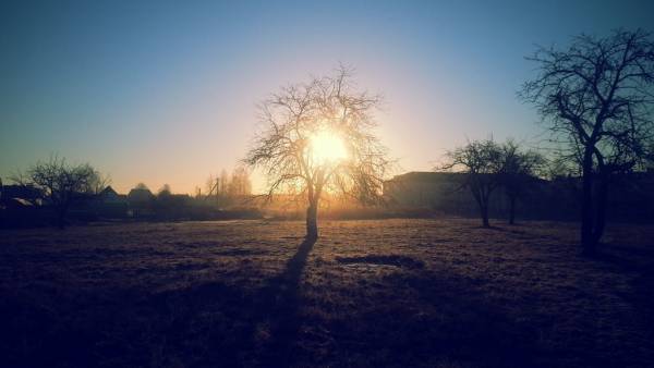 Лучше бы был конкурс своих Лучше бы был конкурс своих
