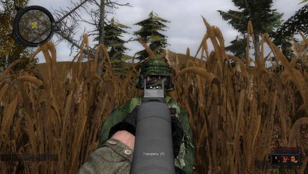 Что я могу сказать за этот