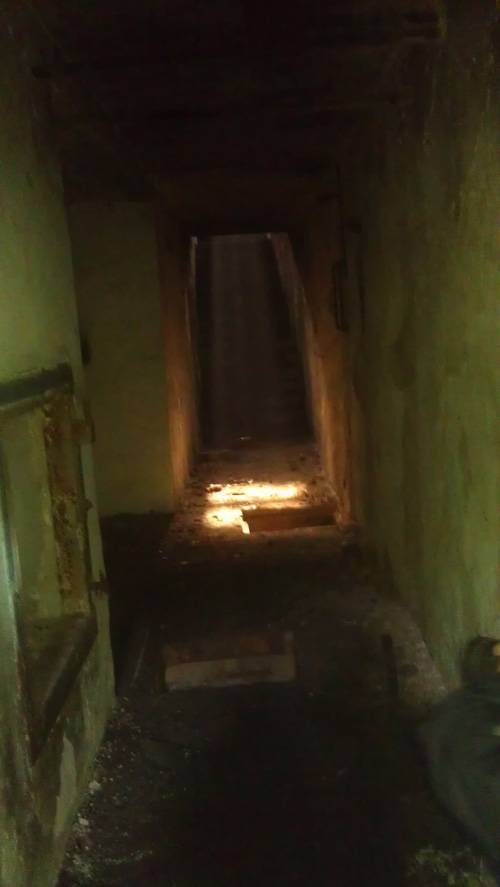 Вылазка на заброшенную территорию завода