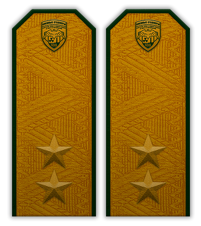 Удостоверения. Успел сделать